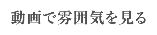 動画で雰囲気を見る